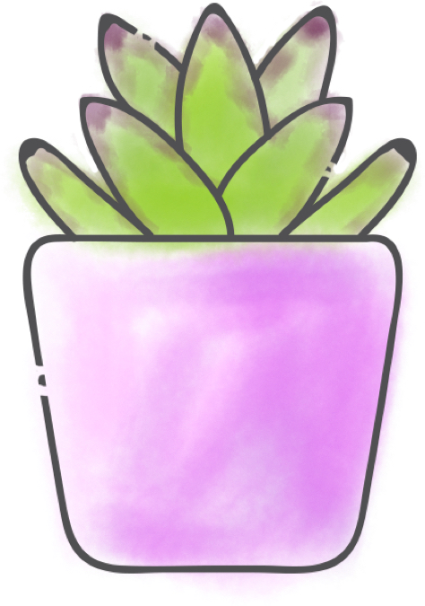 Chocolate Soldier / Panda Bear Plant