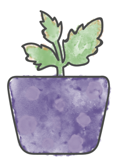 Kalanchoe 'Behartii'