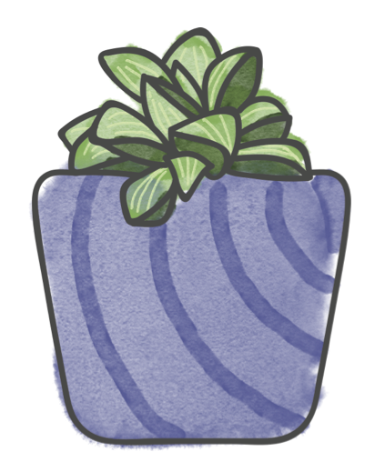 Star Cactus
