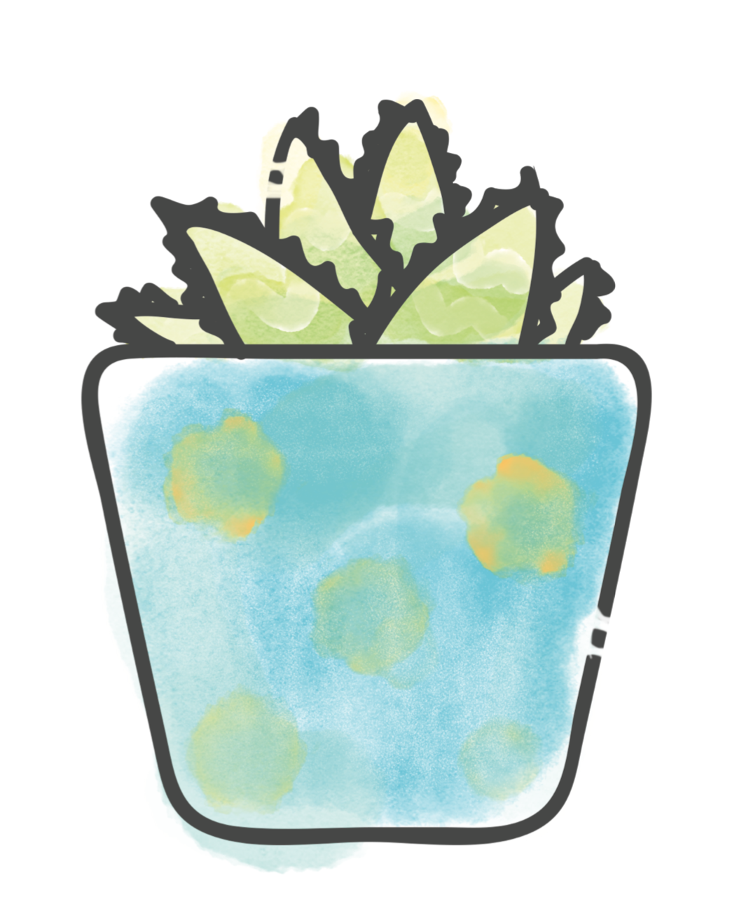 Tiger Tooth Aloe